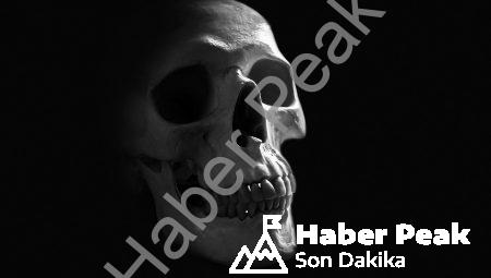 Öğrenme sürecimiz nasıl çalışır? Beynin derinliklerindeki sırlar