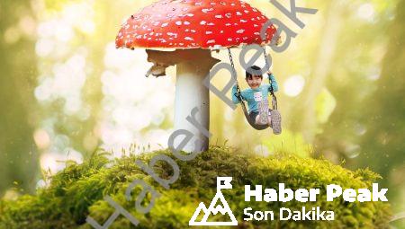 Nöroestetik: Neden bazı sanat eserleri bizi büyüler?