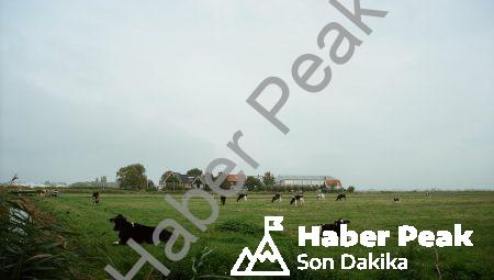 Anime ve Manga Dünyasının En İyi Hikaye Anlatıcıları