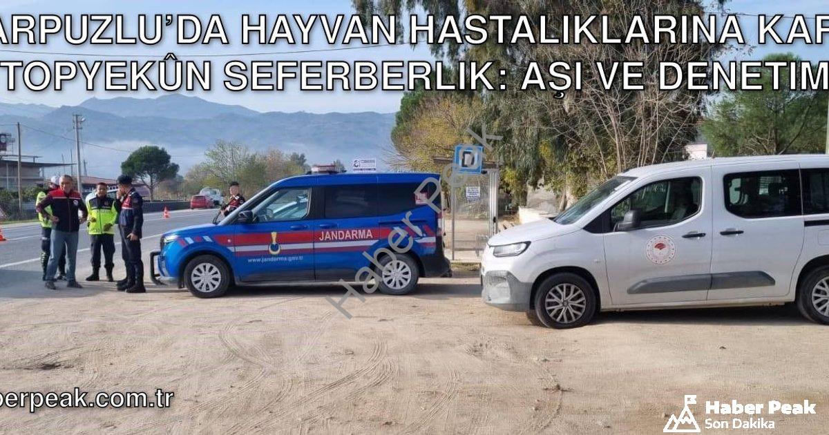 "Karpuzlu’da Hayvan Hastalıklarına Karşı Topyekûn Seferberlik: Aşı ve Denetim" başlıklı haber için f