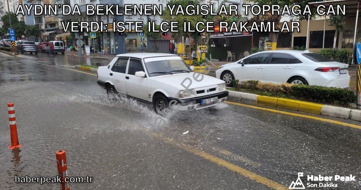 "Aydın’da Beklenen Yağışlar Toprağa Can Verdi: İşte İlçe İlçe Rakamlar" başlıklı haber için fotoreal