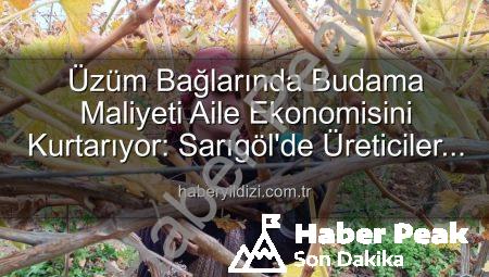 Üzüm Bağlarında Budama Maliyeti Üreticiyi Ailece Çalışmaya Zorladı: Manisa’da Yeniden Yapılanma