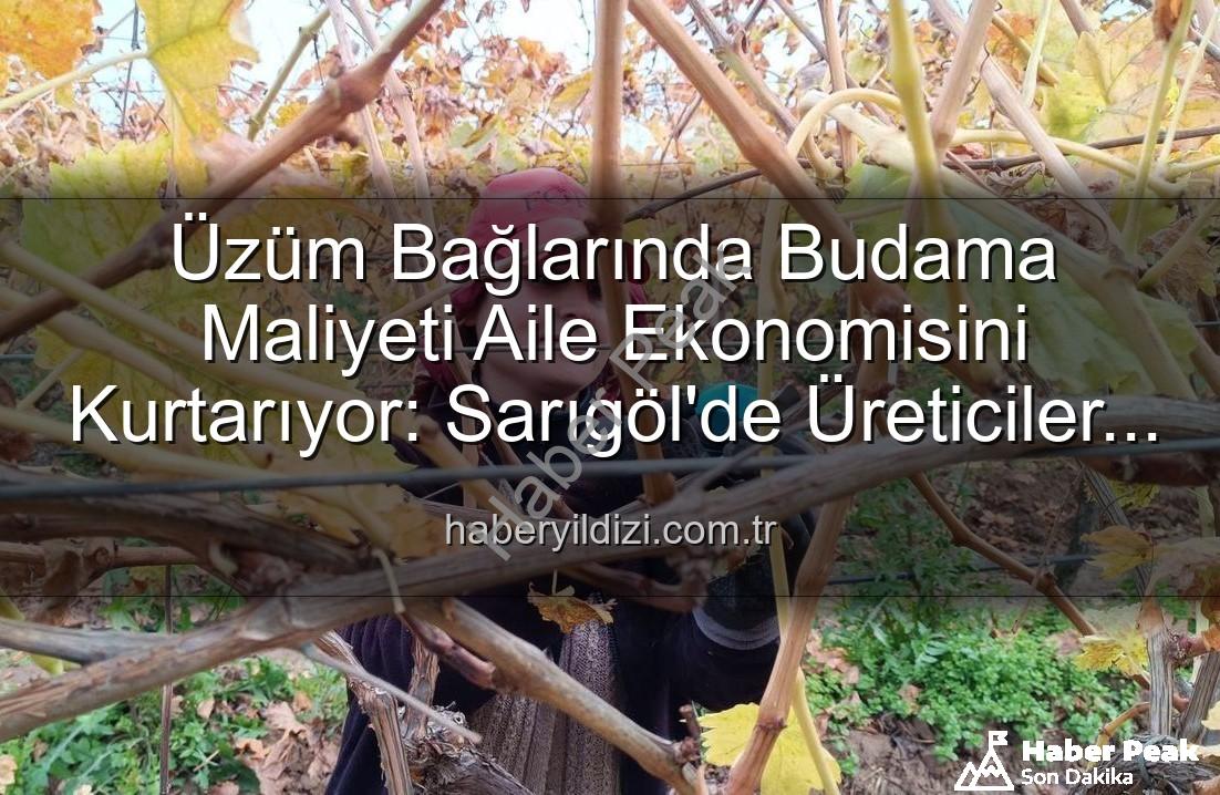 budama maliyeti - Üzüm Bağlarında Budama Maliyeti Üreticiyi Ailece Çalışmaya Zorladı: Manisa'da Yeniden Yapılanma