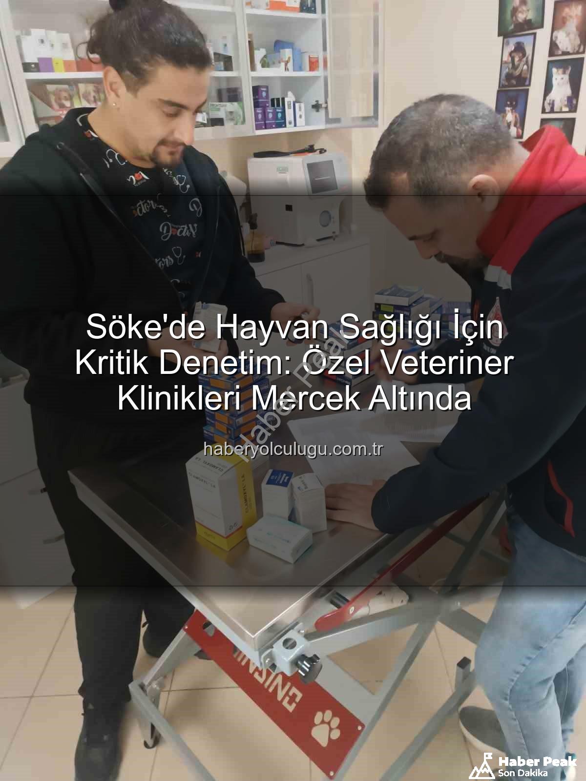 Söke veteriner klinikleri - Söke'de Veteriner Klinikleri Mercek Altında: Hayvan Sağlığı ve Halk Sağlığı İçin Kapsamlı Denetimler