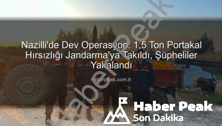 Nazilli’de Dev Operasyon: 1,5 Ton Portakal Hırsızlığı Jandarma’ya Takıldı, Şüpheliler Yakalandı
