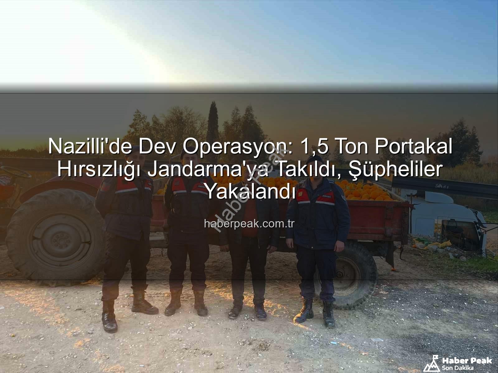 portakal hırsızlığı - Nazilli'de Dev Operasyon: 1,5 Ton Portakal Hırsızlığı Jandarma'ya Takıldı, Şüpheliler Yakalandı