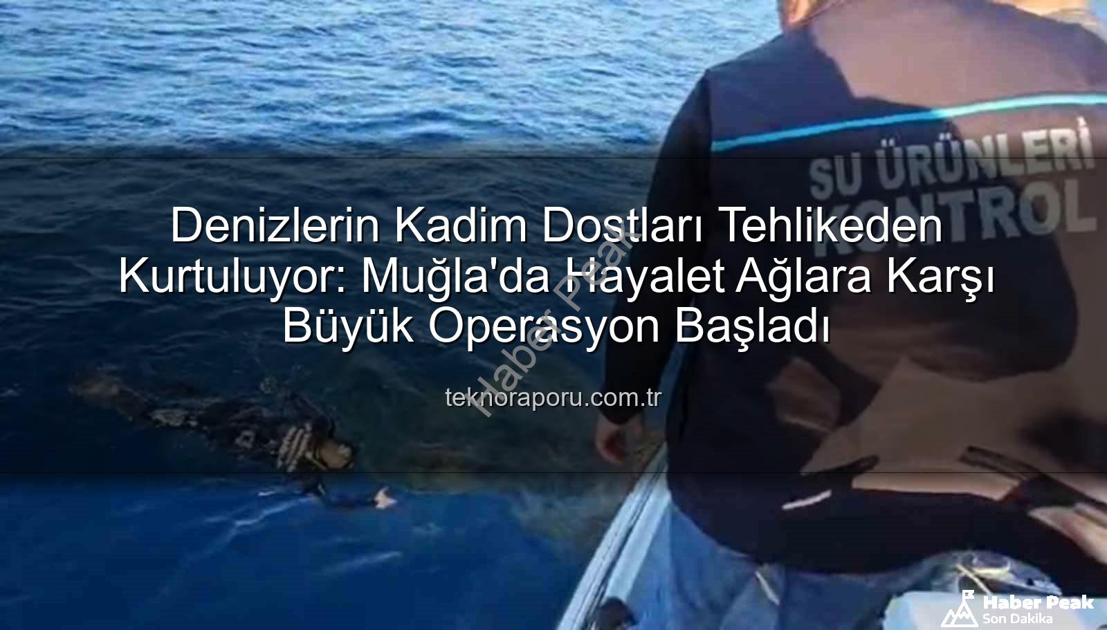 hayalet ağ temizliği - Muğla Denizleri Hayalet Ağlardan Arınıyor: Kapsamlı Temizlik Operasyonu Başladı