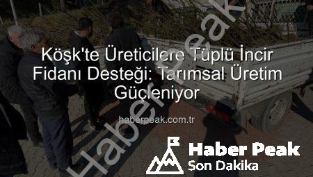 Köşk’te Üreticilere Tüplü İncir Fidanı Desteği: Tarımsal Üretim Güçleniyor