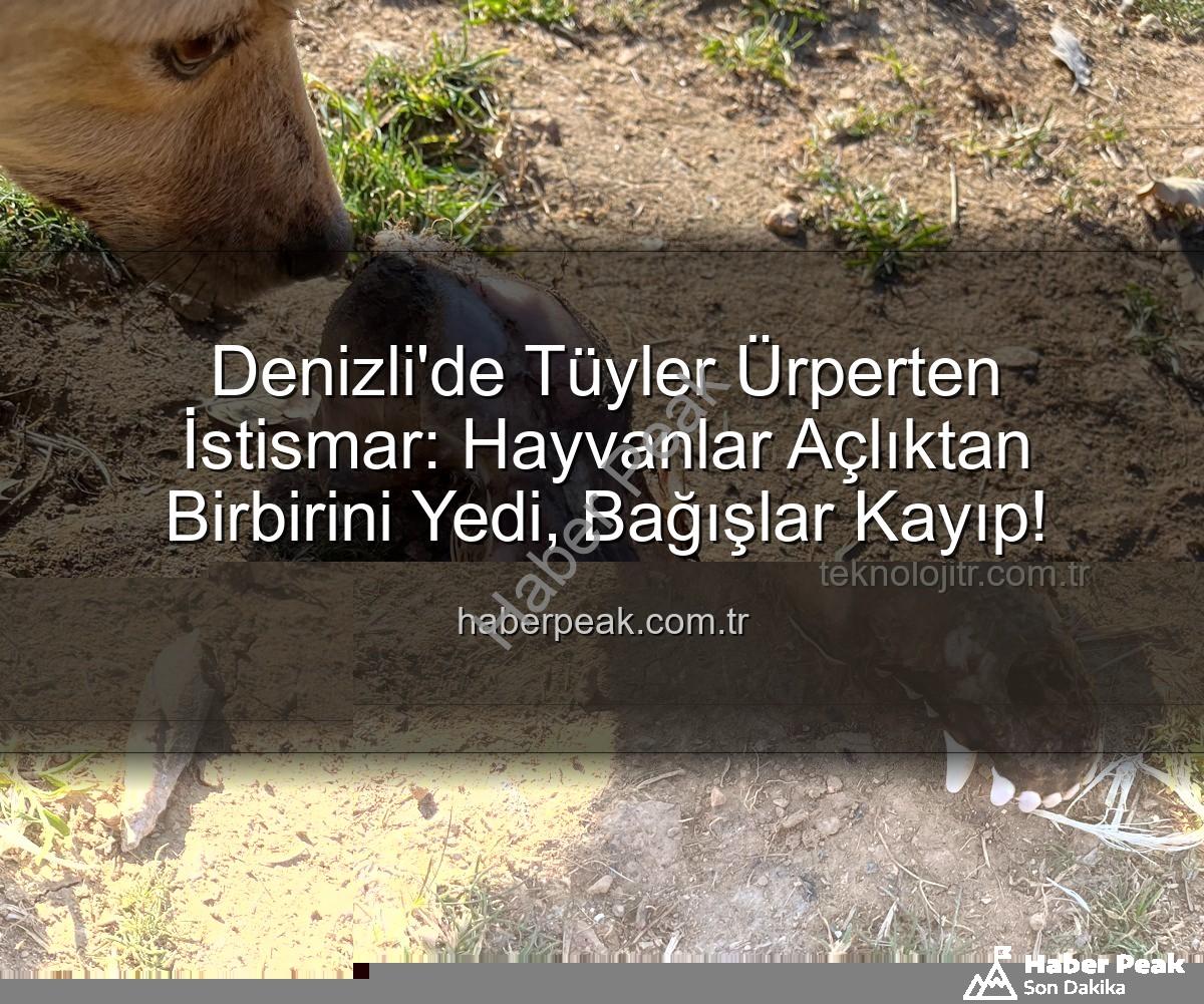 hayvan istismarı - Denizli'de Tüyler Ürperten İstismar: Hayvanlar Açlıktan Birbirini Yedi, Bağışlar Kayıp!