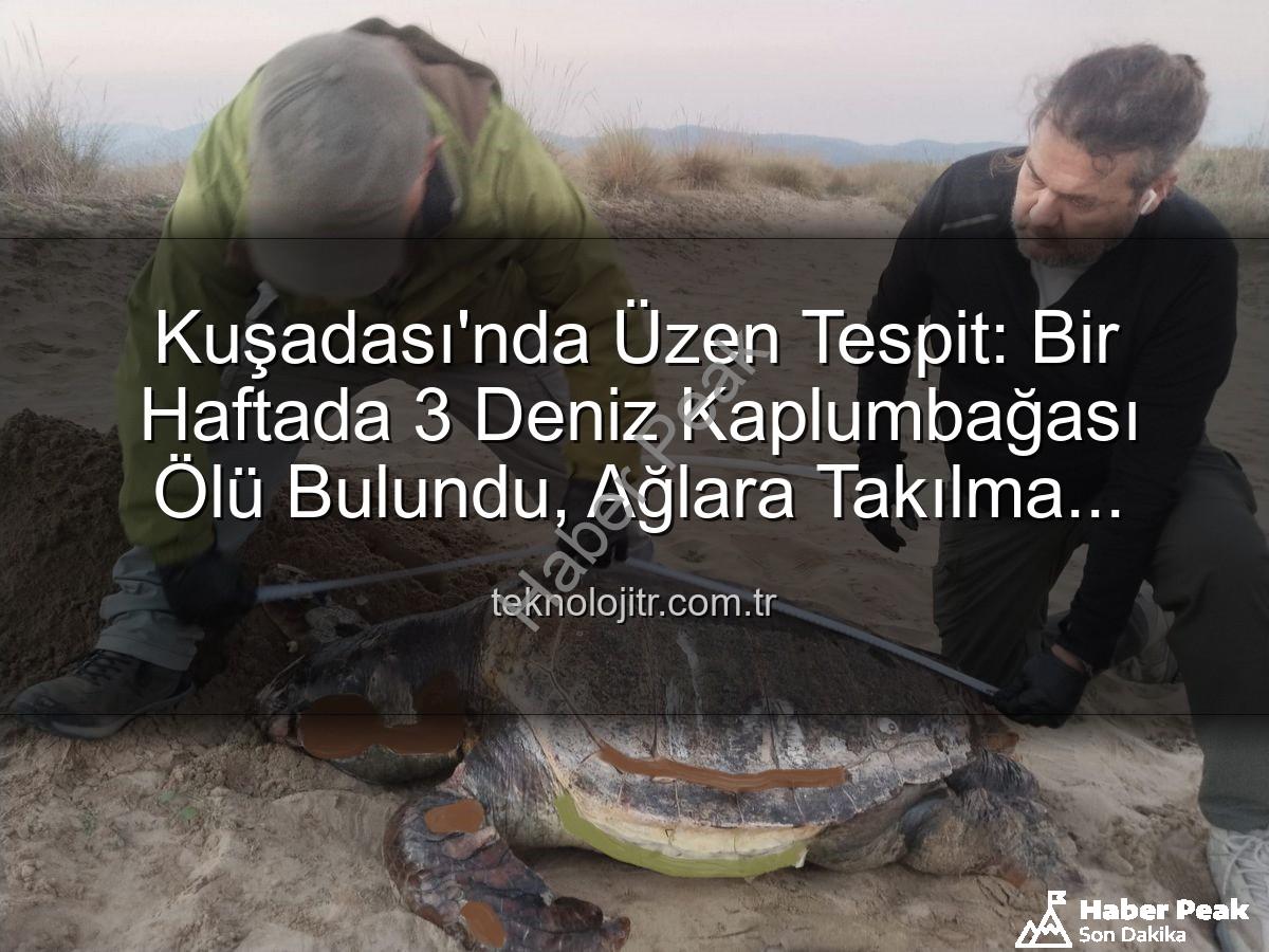 deniz kaplumbağası ölümü - Kuşadası Kıyılarında Endişe Veren Durum: Bir Haftada 3 Deniz Kaplumbağası Ölü Bulundu