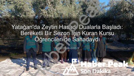Yatağan’da Zeytin Hasadı Dualarla Başladı: Bereketli Bir Sezon İçin Kuran Kursu Öğrencileri de Sahadaydı