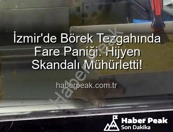 börekçi fare - İzmir'de Börek Tezgahında Fare Paniği: Hijyen Skandalı Mühürletti!