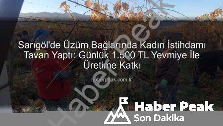 Sarıgöl’de Üzüm Bağlarında Kadın İstihdamı Tavan Yaptı: Günlük 1.500 TL Yevmiye İle Üretime Katkı
