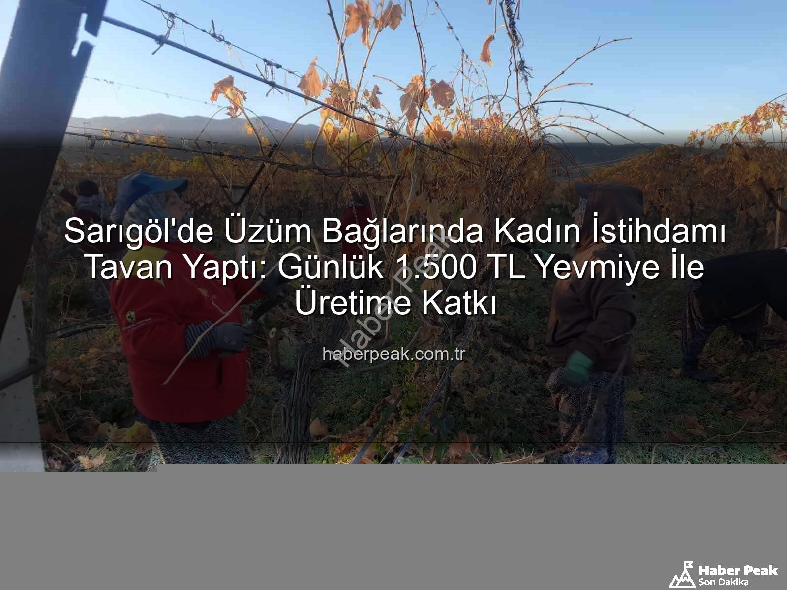 kadın istihdamı - Sarıgöl'de Üzüm Bağlarında Kadın İstihdamı Tavan Yaptı: Günlük 1.500 TL Yevmiye İle Üretime Katkı
