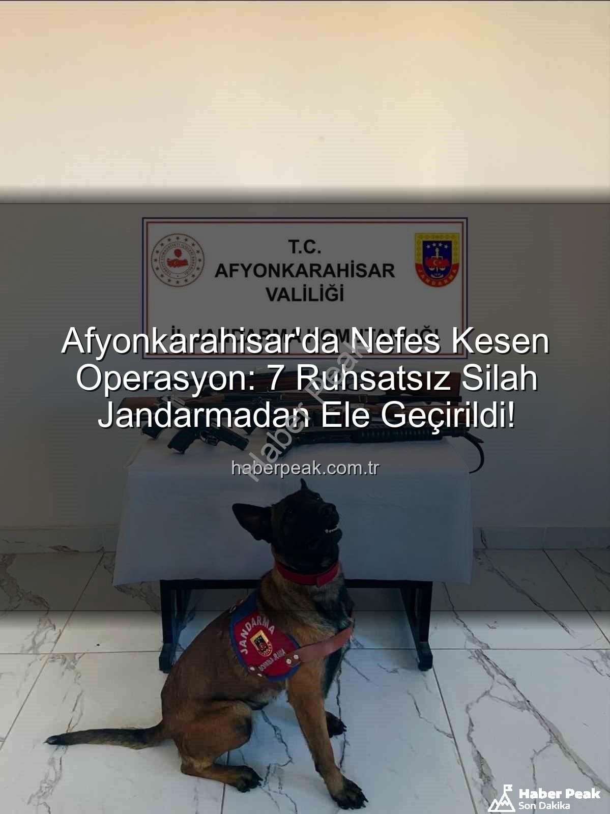 ruhsatsız silah operasyonu - Afyonkarahisar'da Nefes Kesen Operasyon: 7 Ruhsatsız Silah Jandarmadan Ele Geçirildi!
