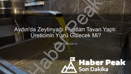 Aydın’da Zeytinyağı Fiyatları Tavan Yaptı: Üreticinin Yüzü Gülecek Mi?