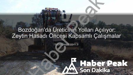 Bozdoğan’da Üreticinin Yolları Açılıyor: Zeytin Hasadı Öncesi Kapsamlı Çalışmalar