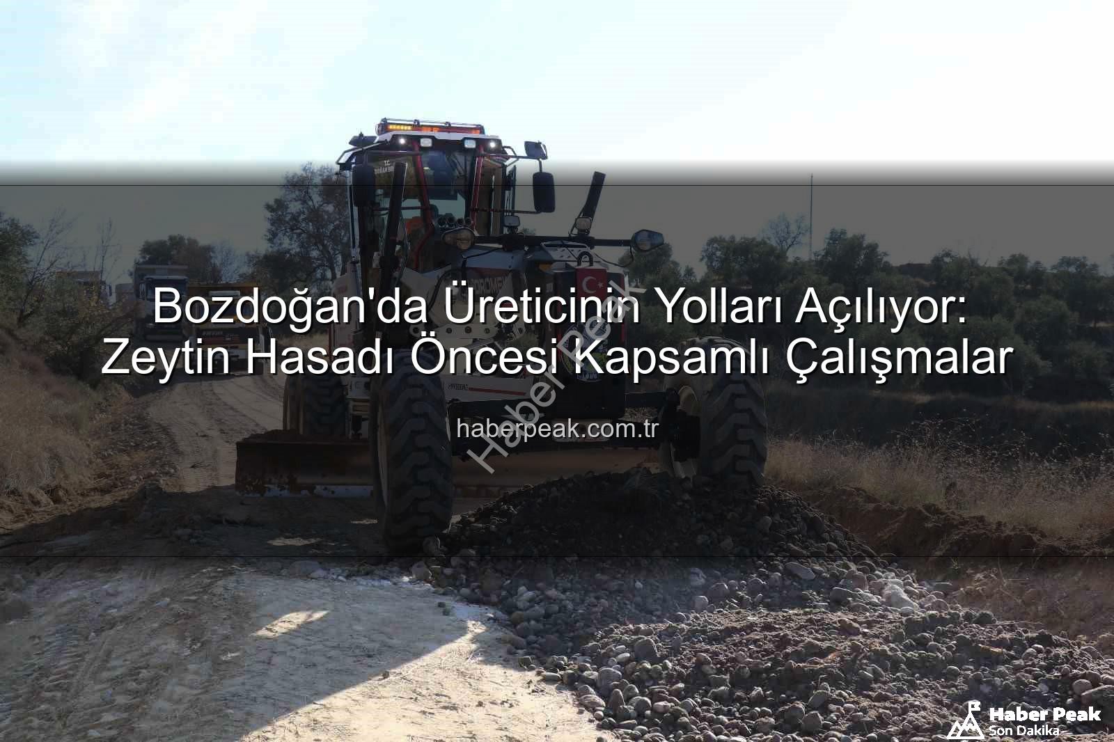Bozdoğan yol çalışmaları - Bozdoğan'da Üreticinin Yolları Açılıyor: Zeytin Hasadı Öncesi Kapsamlı Çalışmalar