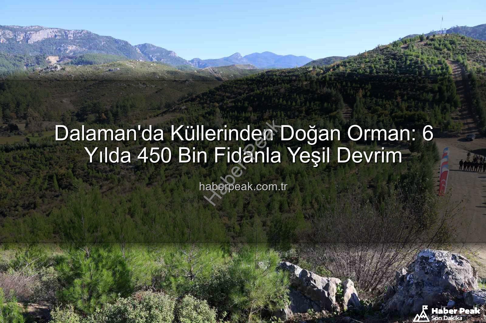 Dalaman orman yangını - Dalaman'da Küllerinden Doğan Orman: 6 Yılda 450 Bin Fidanla Yeşil Devrim