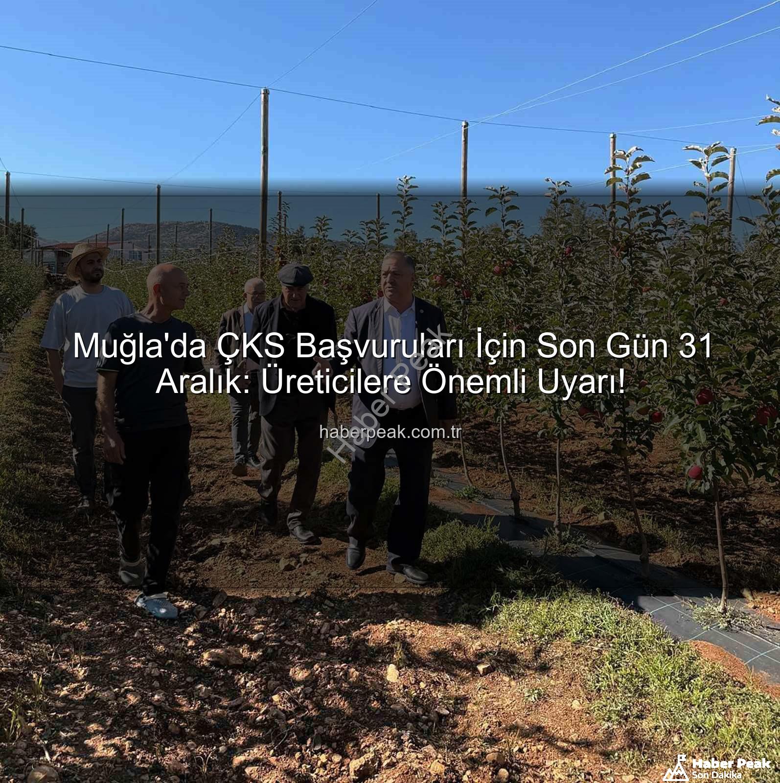 ÇKS başvuruları - Muğla'da ÇKS Başvuruları İçin Son Gün 31 Aralık: Üreticilere Önemli Uyarı!